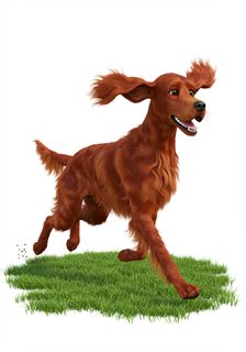 Running Irish Setter