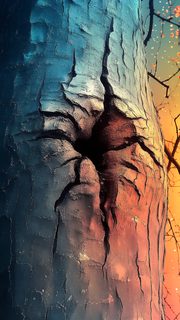 Hollow Tree Trunk