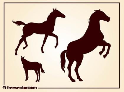 Horses Silhouettes Free Vector