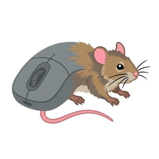 Mouse computer mouse