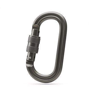locking metal carabiner