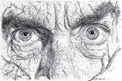 Intense Gaze Ink Drawing