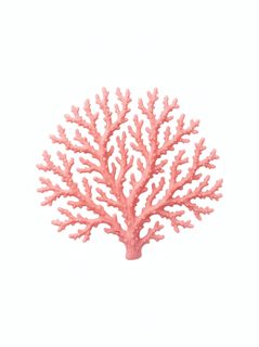 pink coral branch