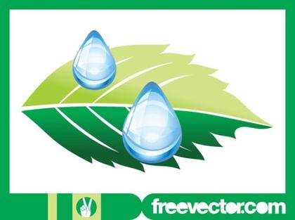 Leaf and Drops of Water Free Vector