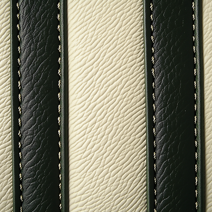 Leather Straps with Stitching