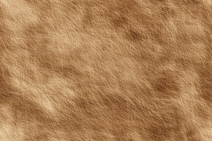 Leather Texture