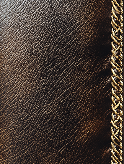 Leather Texture With Golden Braid
