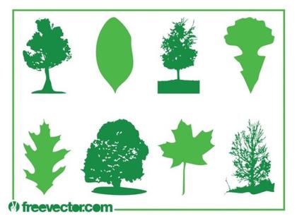 Leaves and Trees Free Vector