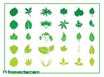 Leaves Set Free Vector
