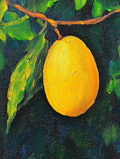 Lemon On Branch
