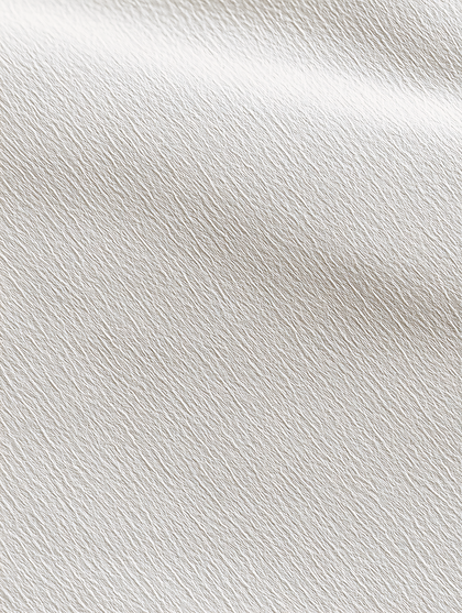 Light Gray Fabric Texture