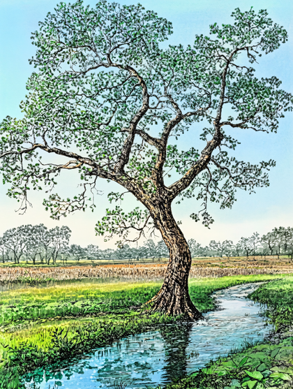 Lone Tree by a Stream in a Field