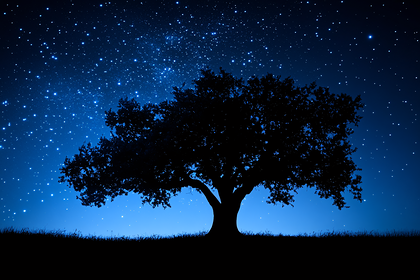 Lone Tree Silhouette Under Starry Sky