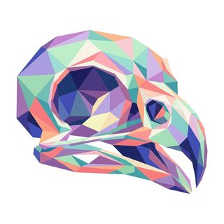 Geometric Bird Skull