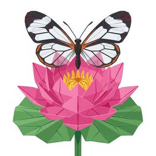 butterfly on lotus