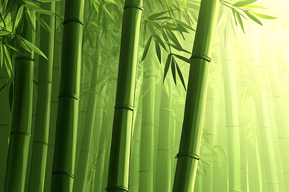 Lush Bamboo Forest