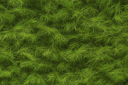 Lush Green Foliage Texture