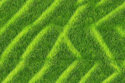 Lush Green Grass With Diagonal Stripes