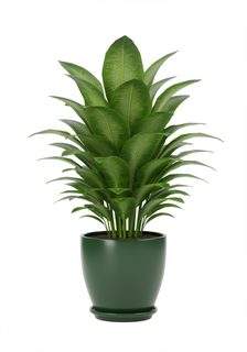 green potted plant