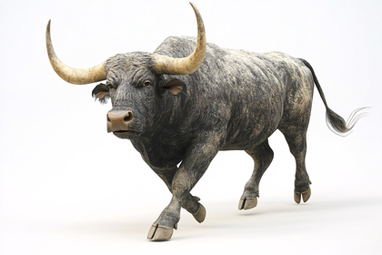 Majestic Bull Illustration