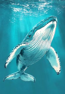 Majestic Whale In Turquoise Depths