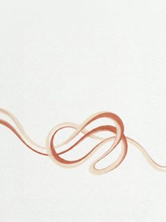 abstract line swirl