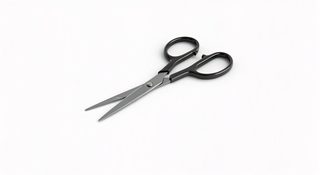 black scissors isolated