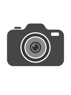 digital camera icon