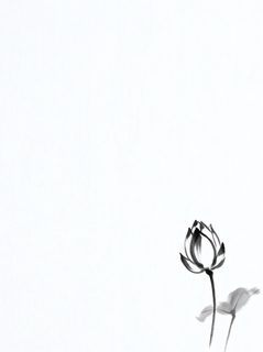 ink-lotus-bud