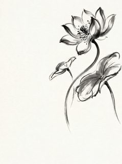 ink lotus flower