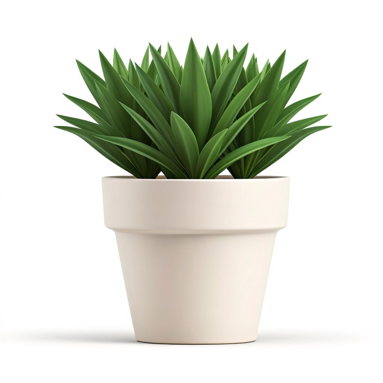 potted-aloe-plant