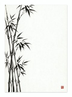 bamboo ink painting