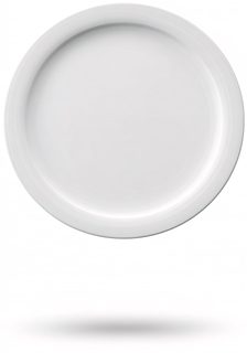 white dinner plate