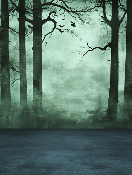 Misty Forest Scene