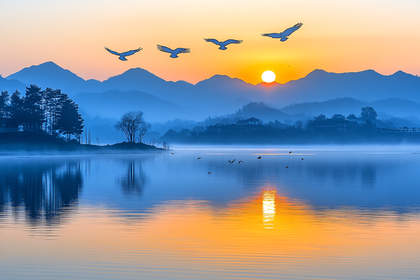 Misty Lake Sunrise with Birds