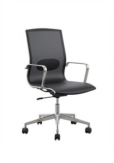 ergonomic mesh chair