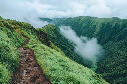 Mountain Path Through Misty Green Valley