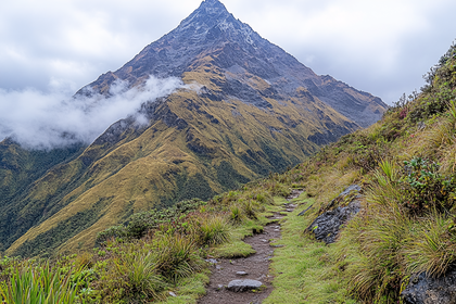 Mountain Trail View