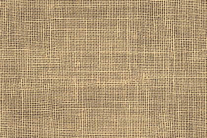 Natural Woven Fabric Texture