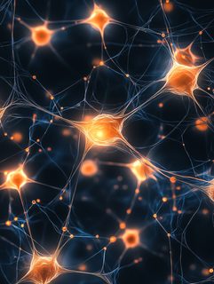 Neuron Network