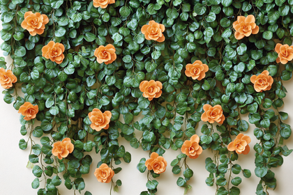 Orange Flowers and Green Vines