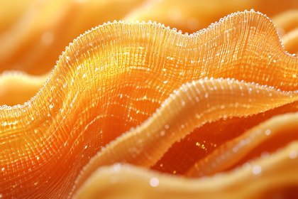 Orange Textured Fabric Detail