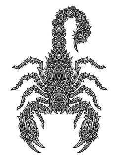 ornate scorpion vector