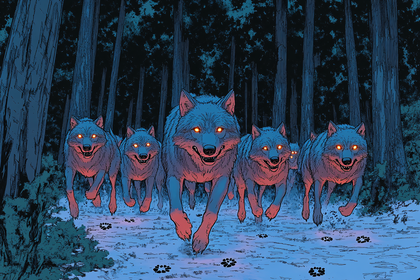 Pack Of Wolves Running In Dark Forest