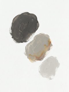 Paint Swatches