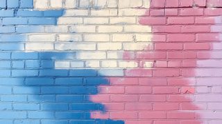 Painted Brick Wall Texture