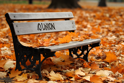 Park Bench In Autumn Leaves