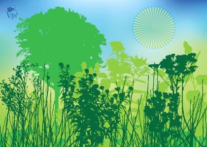 Park Free Vector