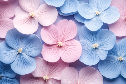 Pastel Hydrangea Blossoms