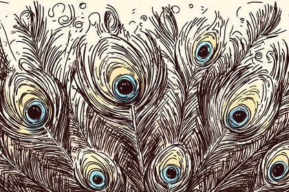 Peacock Feather Illustration